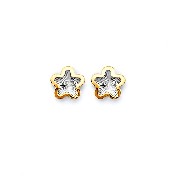 14K 2T DC Star Push Back Earrings