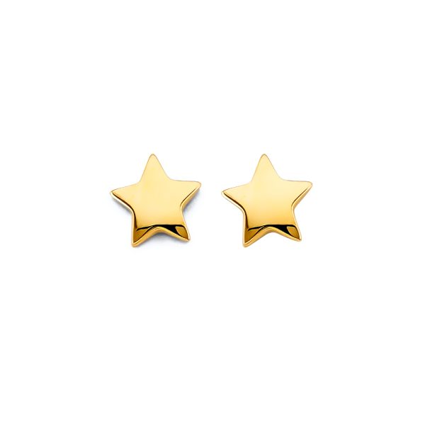 14KY Star Push Back Eariings