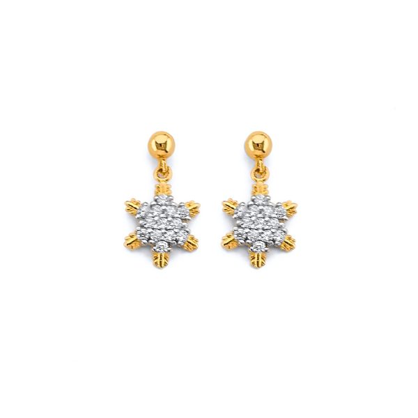 14KY CZ Hanging Star Push Back Earrings