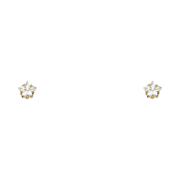 14KY 4mm Star ST Screw Back Stud Earrings (ST138)