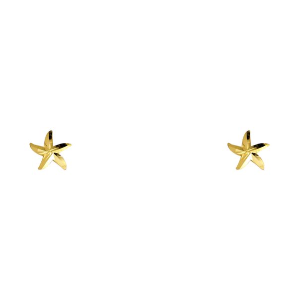 14KY Sea Star Stud Earrings with Screw Back