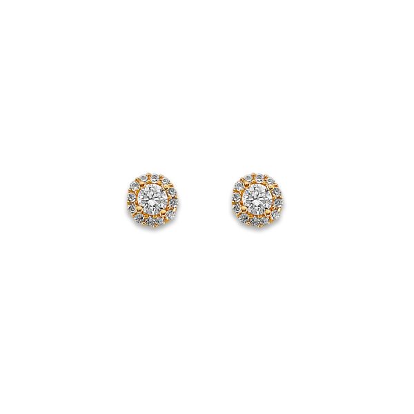 14KY Cluster CZ Stud Earrings with Screw Back