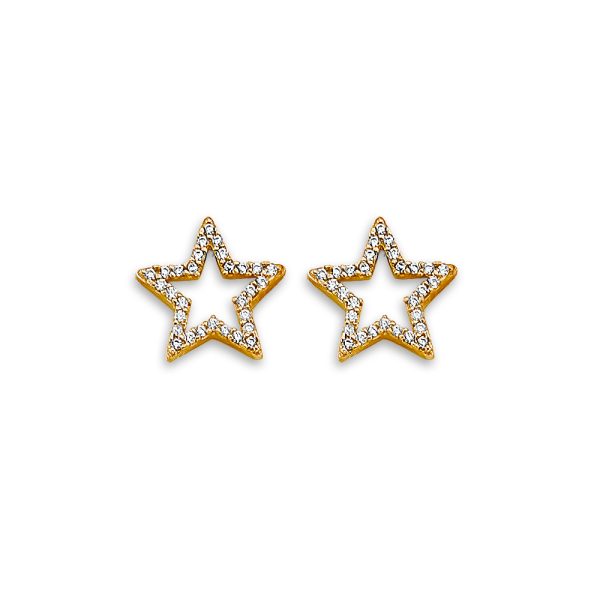 14KY Star CZ Stud Earrings with Screw Back