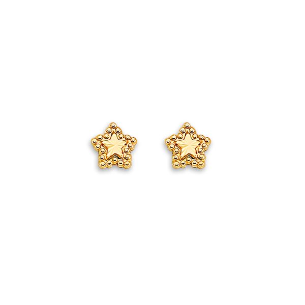 14KY Star Stud Earrings with Screw Back